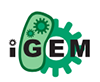 International Genetically Engineered Machine Competition (iGEM)